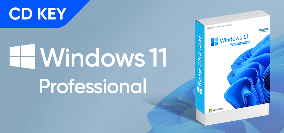 Windows 11 Professional - CD Key